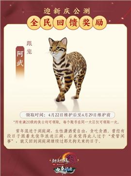 天龙八部世世私服